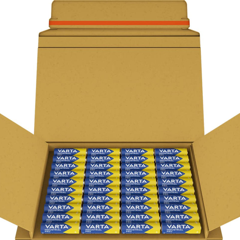Varta Micro/LR6 battery (Pack of 40)