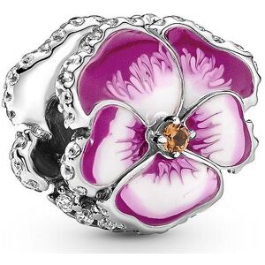 Pandora Charm Moments 790777C01